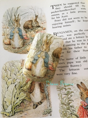 Blanc Poterie（ﾌﾞﾗﾝﾎﾟﾄｩﾘ）