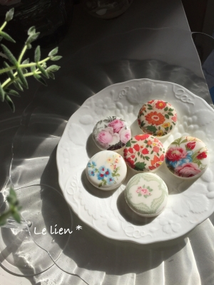 Le lien * ルリアン